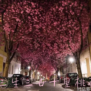 透明内裤被🐔巴捣出白浆视频
